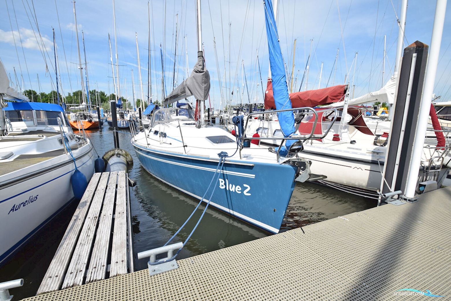 Elan 31 Segelboot 2005, Niederlande