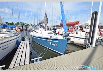 Elan 31 Segelboot 2005, Niederlande