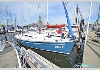 Elan 31 Segelboot 2005, Niederlande