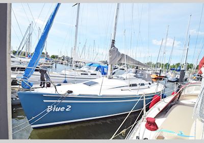 Elan 31 Segelboot 2005, Niederlande