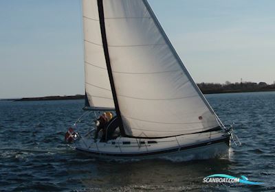 Elan 36 Segelboot 2002, mit Yanmar motor, Dänemark