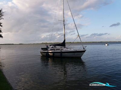 Etap 30 Segelboot 1991, mit Volvo penta motor, Niederlande