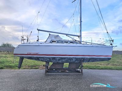 Etap 30i Segelboot 1998, Niederlande