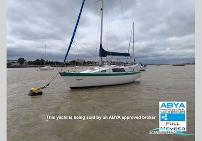 Europa 3000 Segelboot 1979, mit Yanmar 2YM15 motor, England