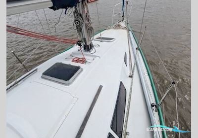 Europa 3000 Segelboot 1979, mit Yanmar 2YM15 motor, England