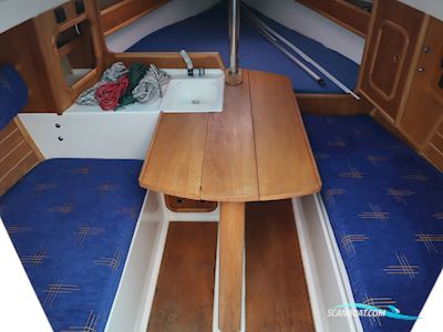 FAN 20 Segelboot 2006, Niederlande