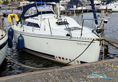 Feeling 286 Special Segelboot 1990, mit Yanmar 2GM 20 motor, Niederlande