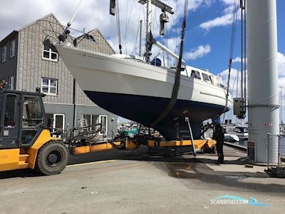 Finnrose 45 Deck Saloon Segelboot 1976, mit Perkens 354
 motor, Dänemark