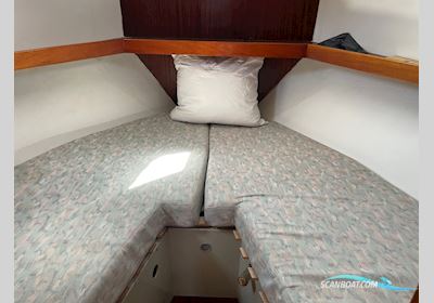 Finnsailer 35 Segelboot 1973, mit Bladt motor, Dänemark