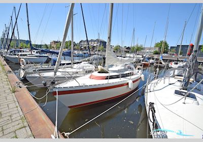 Friendship 28 Mkii Segelboot 1988, Niederlande