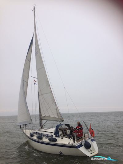 Friendship 33 Segelboot 1992, mit Yanmar 3GM30	 motor, Niederlande