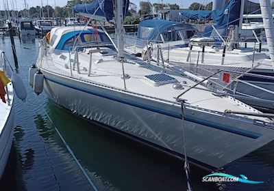 Granada 35 Segelboot 1984, mit Vetus 4.45 motor, Dänemark