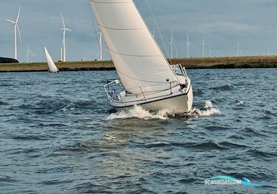 Granada Bonita 767 Segelboot 1986, mit Volvo Penta 2001 motor, Niederlande