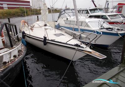 Guy 33 Segelboot 1980, mit Volvo Penta 2002 motor, Dänemark