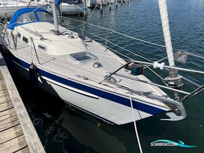 HALLBERG RASSY 29 Segelboot 1982, mit Yanmar
 motor, Dänemark