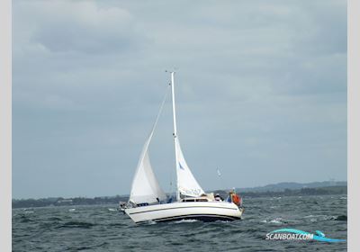 Hai 760 DS Segelboot 2006, mit Volvo-Penta motor, Deutschland