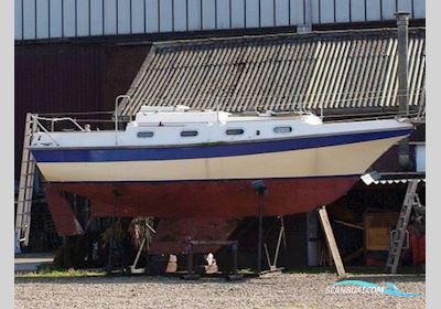 Halcyon Clipper 27 Segelboot 1974, mit Ruggerini motor, Niederlande