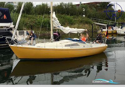 Hallberg-Rassy 24 Misil II Segelboot 1976, mit Allpa Mini SF-7 motor, Deutschland