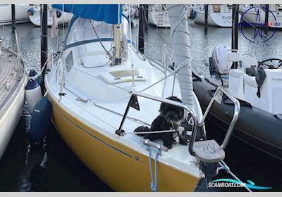 Hallberg-Rassy 24 Misil II Segelboot 1976, mit Allpa Mini SF-7 motor, Deutschland