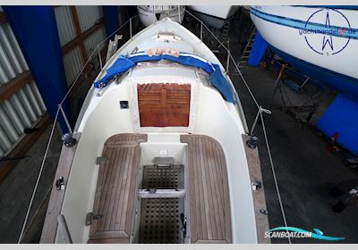 Hallberg-Rassy 24 Misil II Segelboot 1976, mit Allpa Mini SF-7 motor, Deutschland