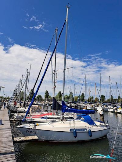 Hallberg Rassy 26 Segelboot 1978, mit Volvo Penta motor, Niederlande