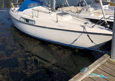Hallberg-Rassy 26 Segelboot 1978, mit Volvo Penta MD5B motor, Dänemark