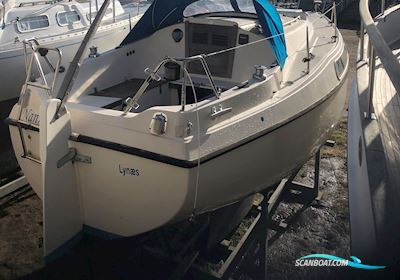 Hallberg-Rassy 26 Segelboot 1978, mit Volvo Penta MD5B motor, Dänemark