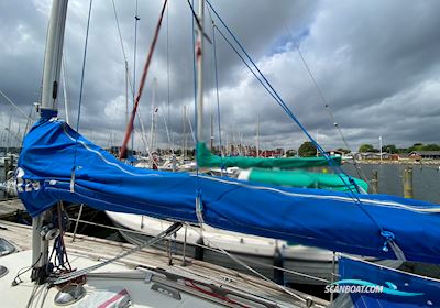 Hallberg Rassy 29 HR29 Segelboot 1986, mit Volvo Penta motor, Dänemark