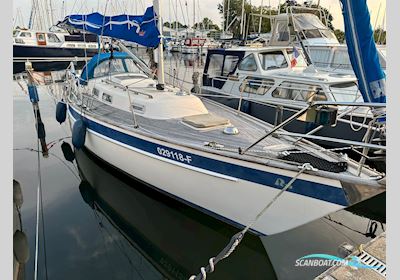 Hallberg Rassy 29 Segelboot 1990, mit Volvo Penta motor, Niederlande
