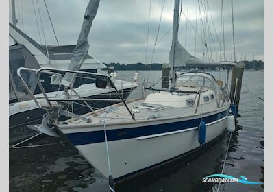Hallberg-Rassy 29 Segelboot 1983, mit Volvo-Penta MD7B motor, Deutschland