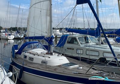 Hallberg Rassy 29 Segelboot 1986, mit Volvo Penta D1-20 motor, Dänemark
