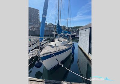 Hallberg-Rassy 29 Segelboot 1984, mit Volvo-Penta motor, Deutschland