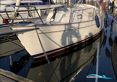 Hallberg-Rassy 31 Monsun Segelboot 1976, mit Volvo Penta md 2030 motor, Dänemark