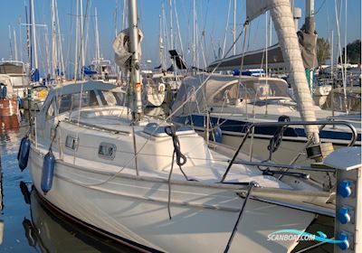 Hallberg-Rassy 31 Monsun Segelboot 1976, mit Volvo Penta md 2030 motor, Dänemark