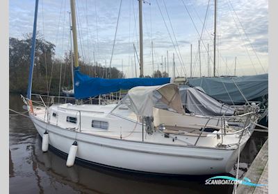 Hallberg Rassy 31 Monsun Segelboot 1976, mit Volvo Penta motor, Niederlande