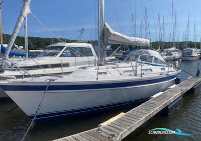 Hallberg Rassy 31 mk II Segelboot 2008, mit Volvo Penta D1-20 motor, Dänemark