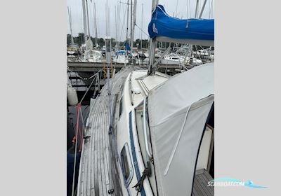 Hallberg-Rassy 31 Segelboot 1994, Dänemark