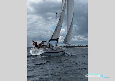 Hallberg-Rassy 31 Segelboot 1994, Dänemark