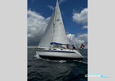 Hallberg-Rassy 31 Segelboot 1994, Dänemark