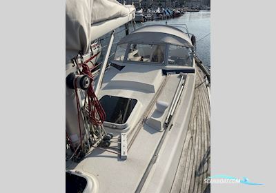 Hallberg Rassy 312 MK1, SOLGT Segelboot 1980, mit Volvo Penta  motor, Dänemark