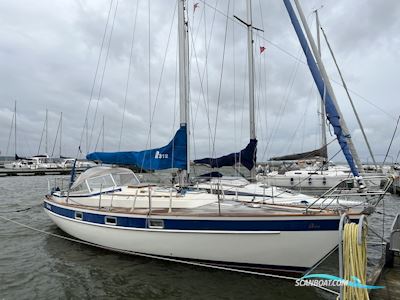 Hallberg Rassy 312 Mk1 Segelboot 1985, mit Yanmar, 3YM30AE
 motor, Dänemark