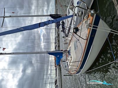 Hallberg Rassy 312 Mk1 Segelboot 1985, mit Yanmar, 3YM30AE
 motor, Dänemark