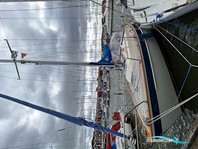 Hallberg Rassy 312 Mk1 Segelboot 1985, mit Yanmar, 3YM30AE
 motor, Dänemark