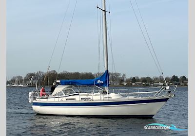 Hallberg Rassy 312 Segelboot 1987, Niederlande