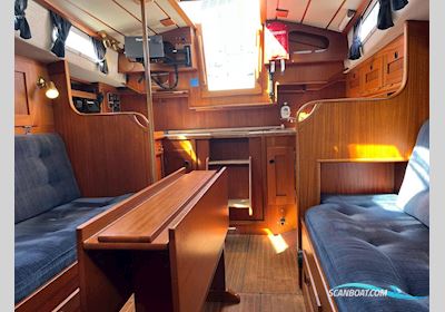 Hallberg Rassy 312 Segelboot 1987, Niederlande