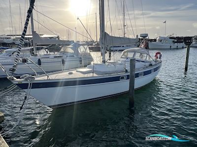 Hallberg Rassy 312 Segelboot 1984, mit Lombardini motor, Dänemark
