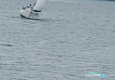 Hallberg Rassy 32 Mistress Segelboot 1973, mit Vetus motor, Dänemark