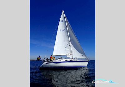 Hallberg-Rassy 34 Scandinavia Segelboot 1998, mit Volvo Penta  2030 B motor, Sweden