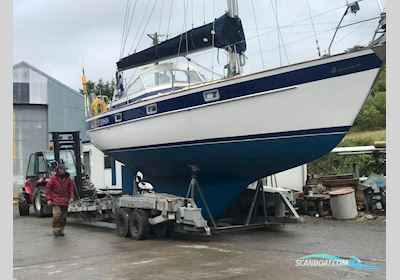 Hallberg Rassy 352 Segelboot 1987, mit Volvo motor, Irland