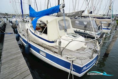 Hallberg Rassy 352 Segelboot 1984, mit Volvo Penta motor, Niederlande